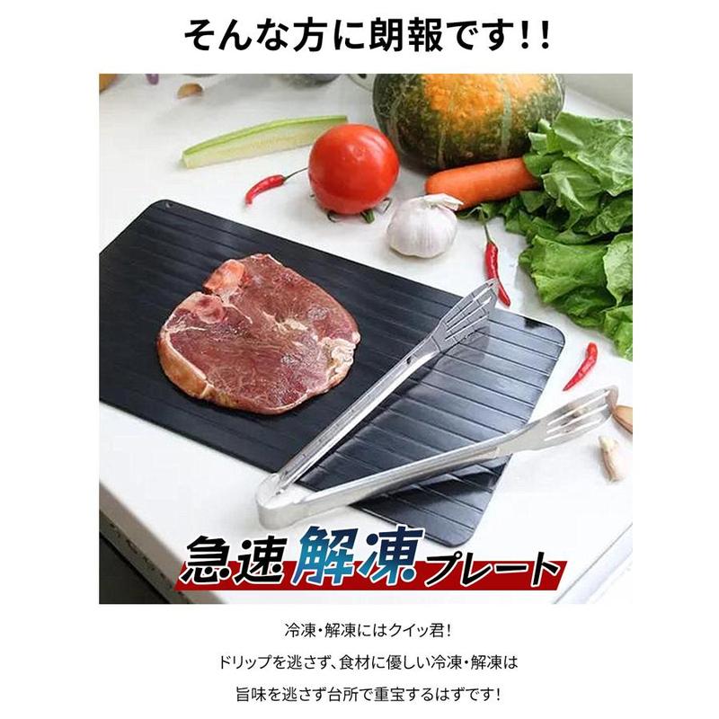 急速解凍 プレート 解凍 キッチン 放熱 魚 刺身 肉 冷凍食品 エコ 時短 家事 調理器具 まな板 主婦 SNS話題 解凍板 省エネ 電気不要 母の日 お祝いギフト